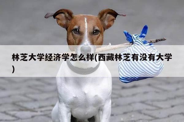 林芝大学经济学怎么样(西藏林芝有没有大学)