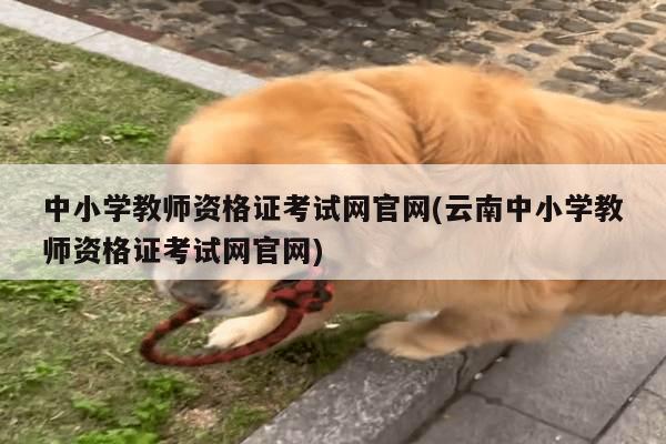 中小学教师资格证考试网官网(云南中小学教师资格证考试网官网)