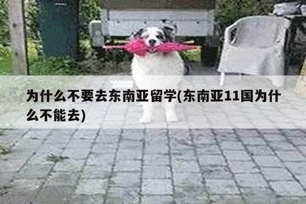 为什么不要去东南亚留学(东南亚11国为什么不能去)