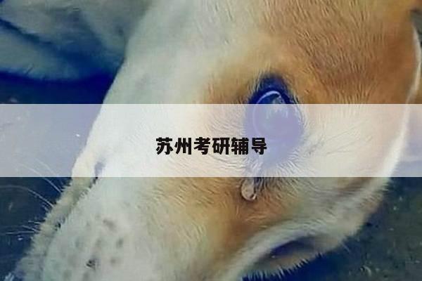 苏州考研辅导