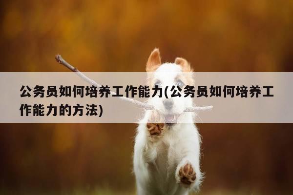 公务员如何培养工作能力(公务员如何培养工作能力的方法)