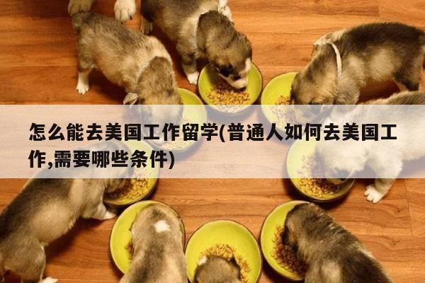 怎么能去美国工作留学(普通人如何去美国工作,需要哪些条件)