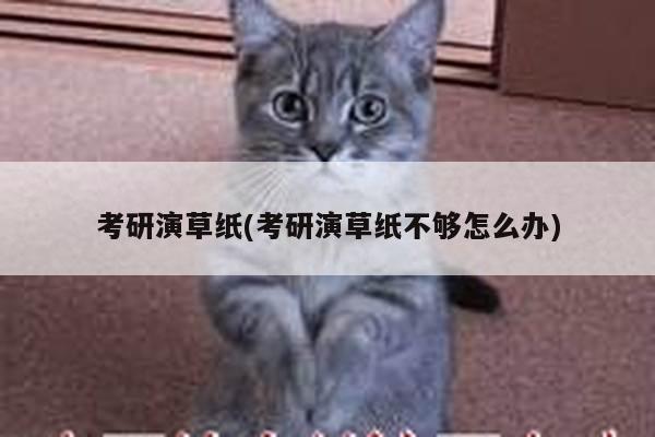 考研演草纸(考研演草纸不够怎么办)
