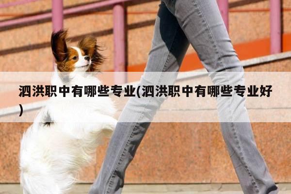 泗洪职中有哪些专业(泗洪职中有哪些专业好)