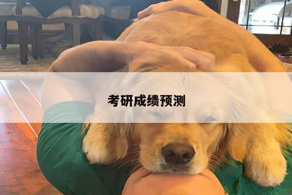 考研成绩预测