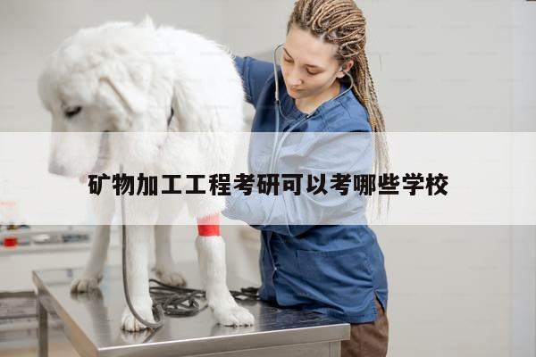 矿物加工工程考研可以考哪些学校