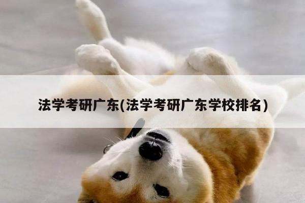 法学考研广东(法学考研广东学校排名)