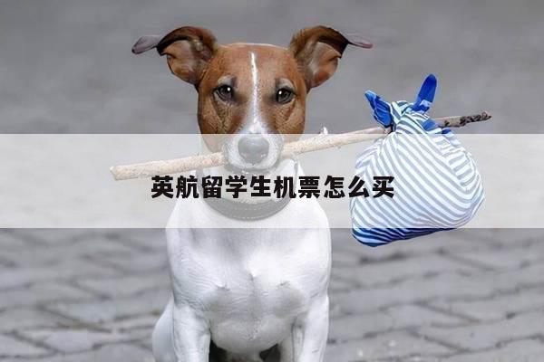 英航留学生机票怎么买