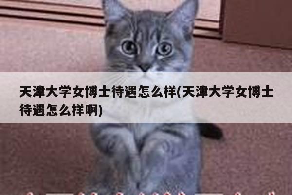 天津大学女博士待遇怎么样(天津大学女博士待遇怎么样啊)