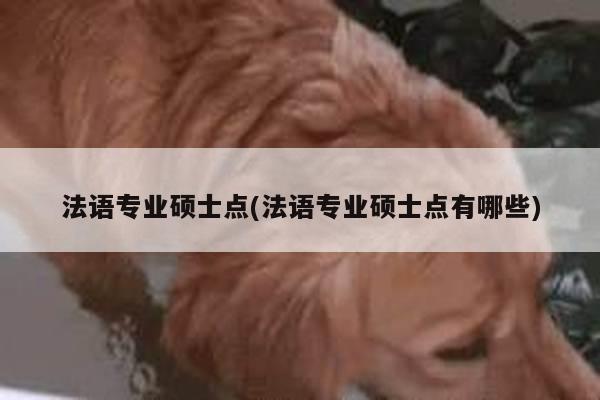 法语专业硕士点(法语专业硕士点有哪些)