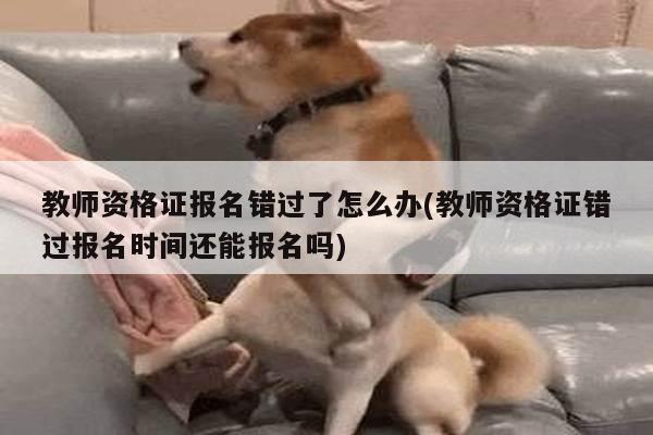 教师资格证报名错过了怎么办(教师资格证错过报名时间还能报名吗)