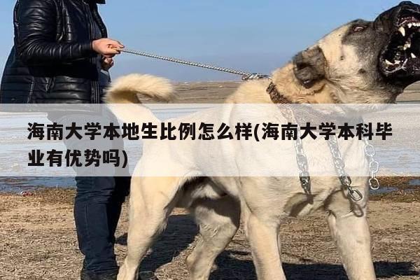 海南大学本地生比例怎么样(海南大学本科毕业有优势吗)