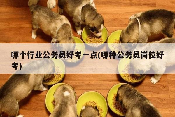 哪个行业公务员好考一点(哪种公务员岗位好考)