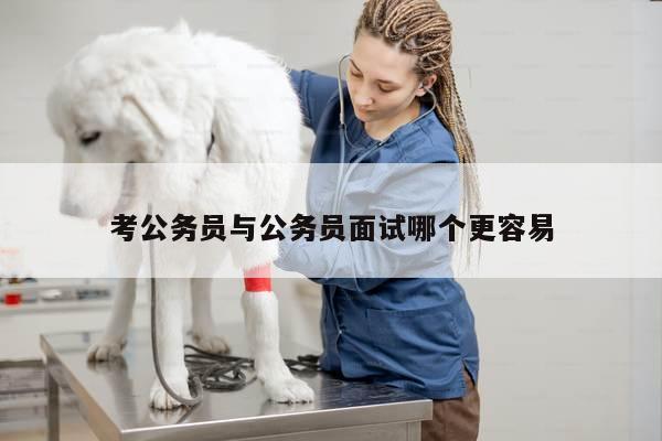 考公务员与公务员面试哪个更容易