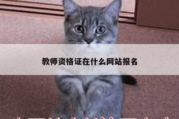 教师资格证在什么网站报名