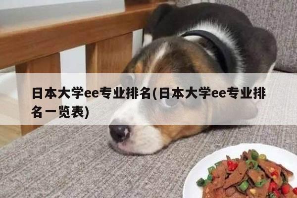 日本大学ee专业排名(日本大学ee专业排名一览表)