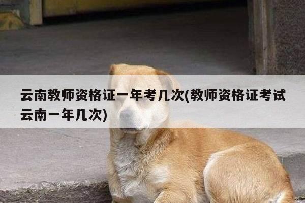 云南教师资格证一年考几次(教师资格证考试云南一年几次)