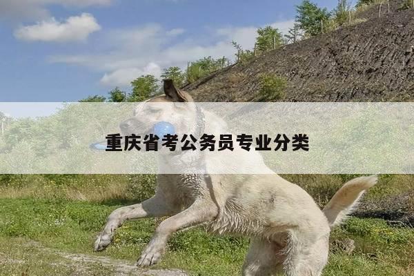 重庆省考公务员专业分类
