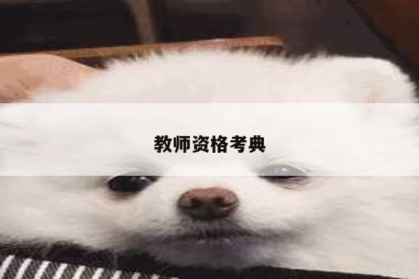 教师资格考典