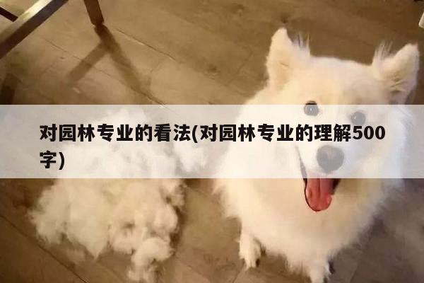 对园林专业的看法(对园林专业的理解500字)