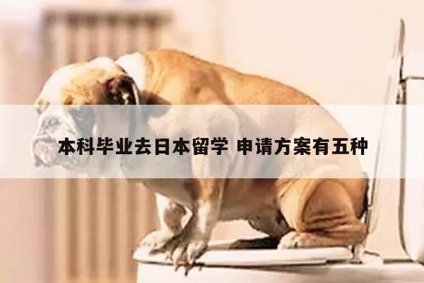 本科毕业去日本留学 申请方案有五种
