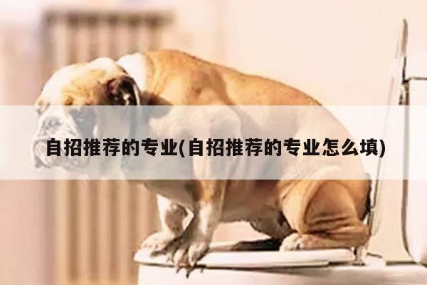 自招推荐的专业(自招推荐的专业怎么填)