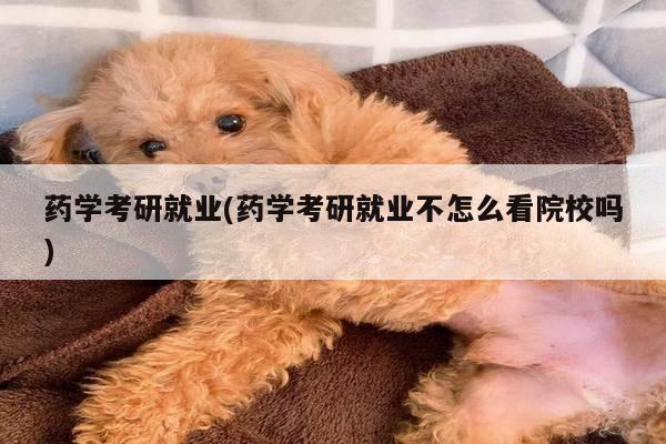 药学考研就业(药学考研就业不怎么看院校吗)