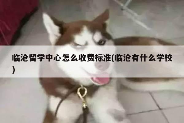 临沧留学中心怎么收费标准(临沧有什么学校)