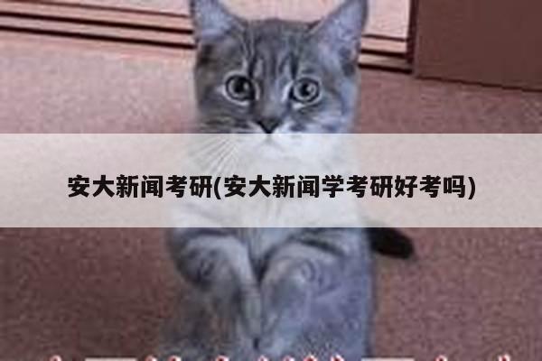 安大新闻考研(安大新闻学考研好考吗)