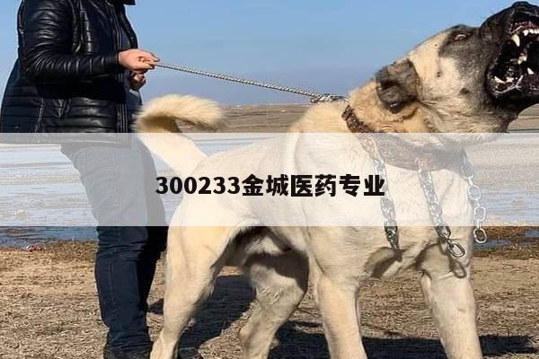 300233金城医药专业
