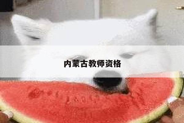 内蒙古教师资格