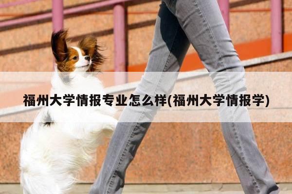 福州大学情报专业怎么样(福州大学情报学)