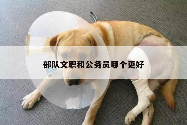 部队文职和公务员哪个更好
