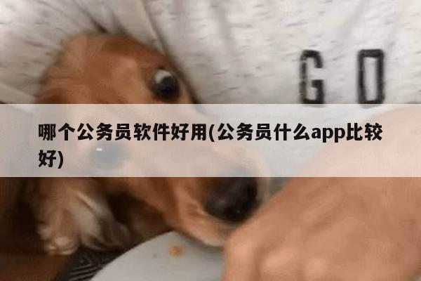 哪个公务员软件好用(公务员什么app比较好)