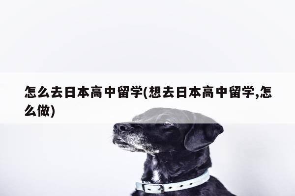 怎么去日本高中留学(想去日本高中留学,怎么做)