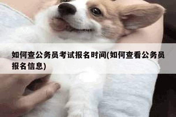 如何查公务员考试报名时间(如何查看公务员报名信息)