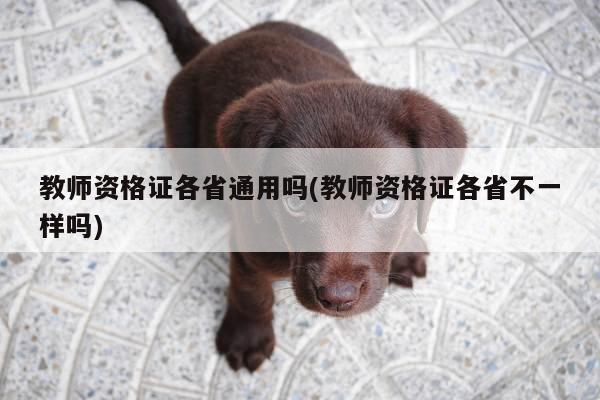 教师资格证各省通用吗(教师资格证各省不一样吗)