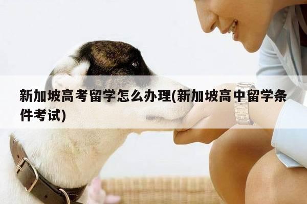 新加坡高考留学怎么办理(新加坡高中留学条件考试)