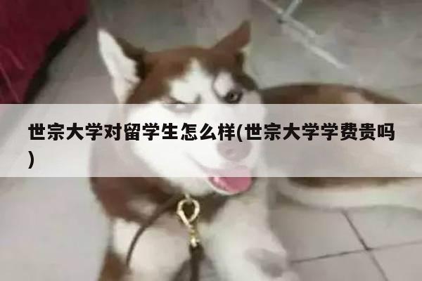 世宗大学对留学生怎么样(世宗大学学费贵吗)