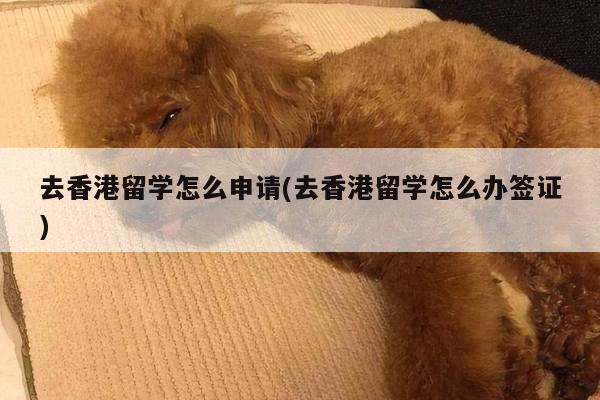去香港留学怎么申请(去香港留学怎么办签证)
