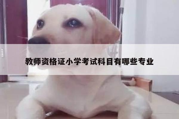 教师资格证小学考试科目有哪些专业