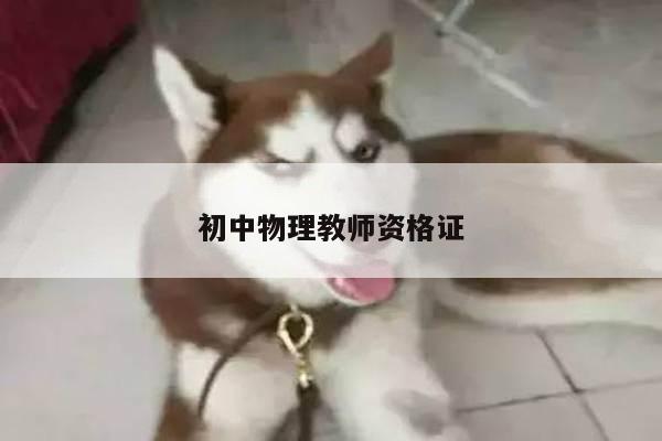 初中物理教师资格证