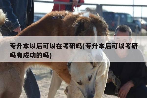 专升本以后可以在考研吗(专升本后可以考研吗有成功的吗)