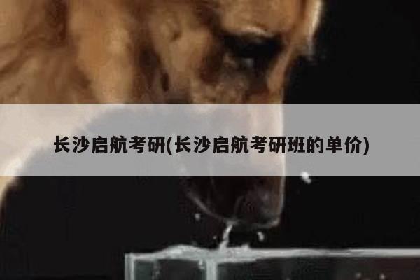 长沙启航考研(长沙启航考研班的单价)