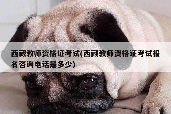 西藏教师资格证考试(西藏教师资格证考试报名咨询电话是多少)