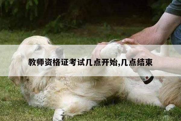 教师资格证考试几点开始,几点结束
