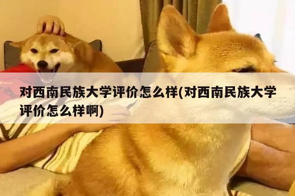 对西南民族大学评价怎么样(对西南民族大学评价怎么样啊)