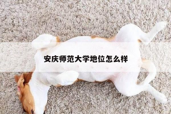 安庆师范大学地位怎么样