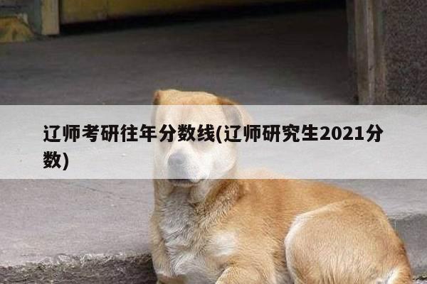 辽师考研往年分数线(辽师研究生2021分数)