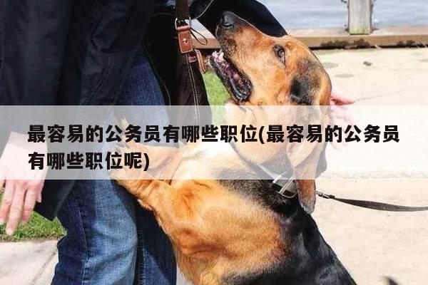 最容易的公务员有哪些职位(最容易的公务员有哪些职位呢)